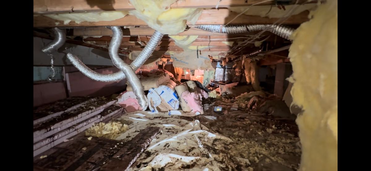 Crawlspace before remediation