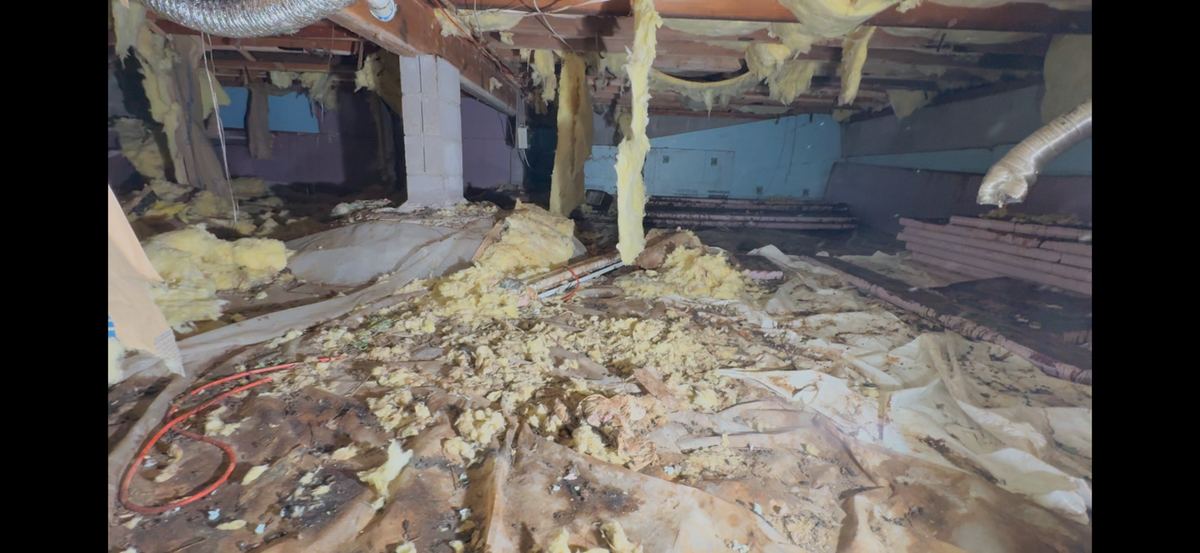 Crawlspace insulation damage before