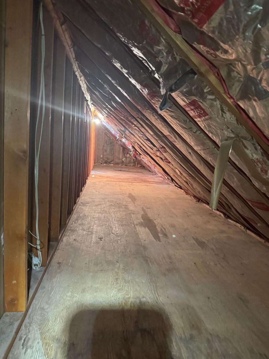 Standing Water & Contamination &mdash; Caribou Construction Colorado