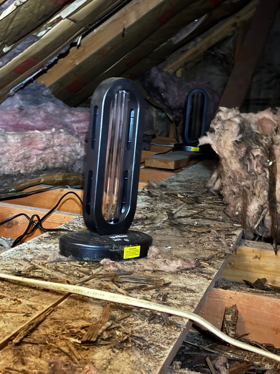 Jobsite Progress &mdash; Caribou Construction Colorado