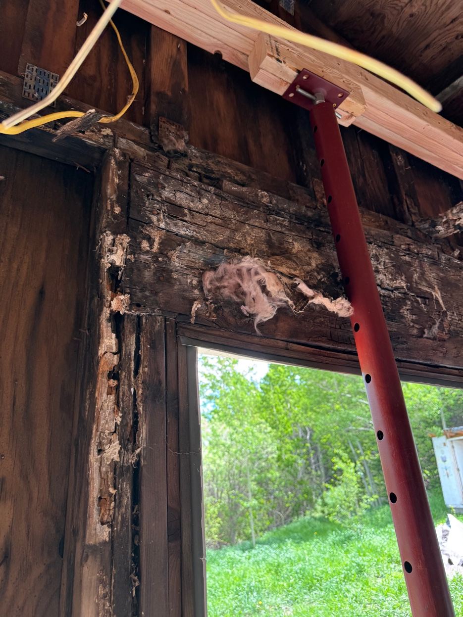 Structural rot and moisture damage