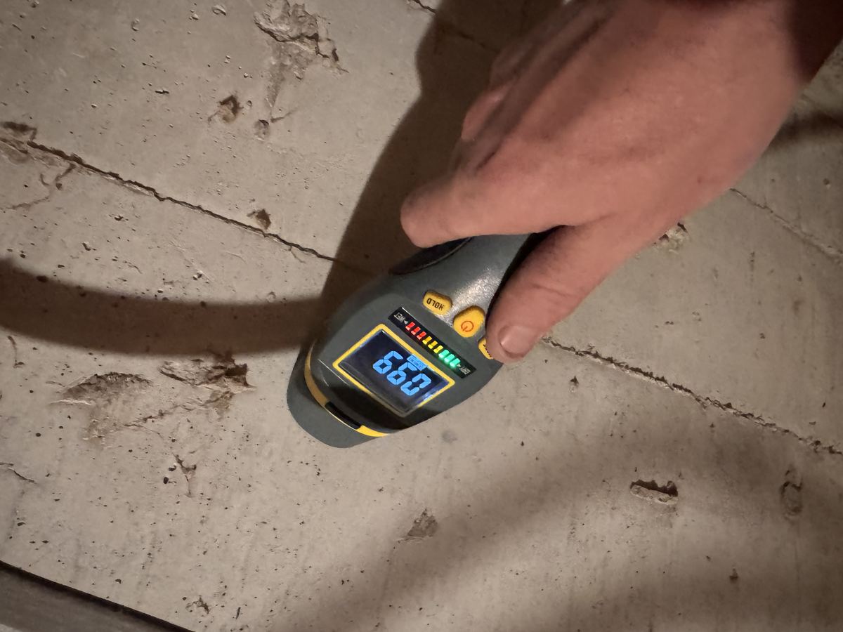 Wood Decay Assessment &mdash; Caribou Construction Colorado